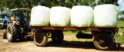 baled silage transportation