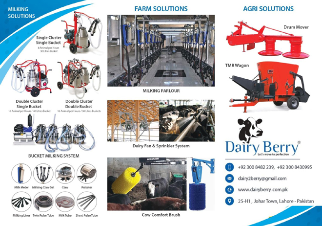 Daiy Berry Dairy Machinery and Equipment