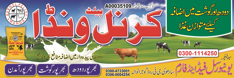 Dairy meat fattening Wada Feed