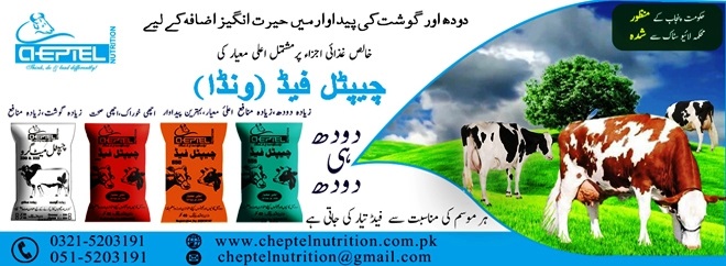 Chaptel Nutrition Dairy Feed Wanda